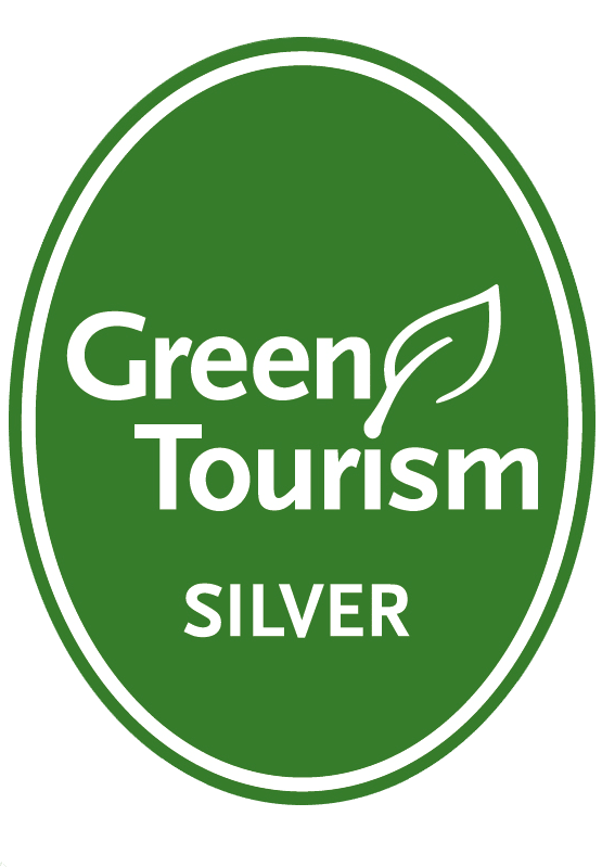 Your Space Go Green